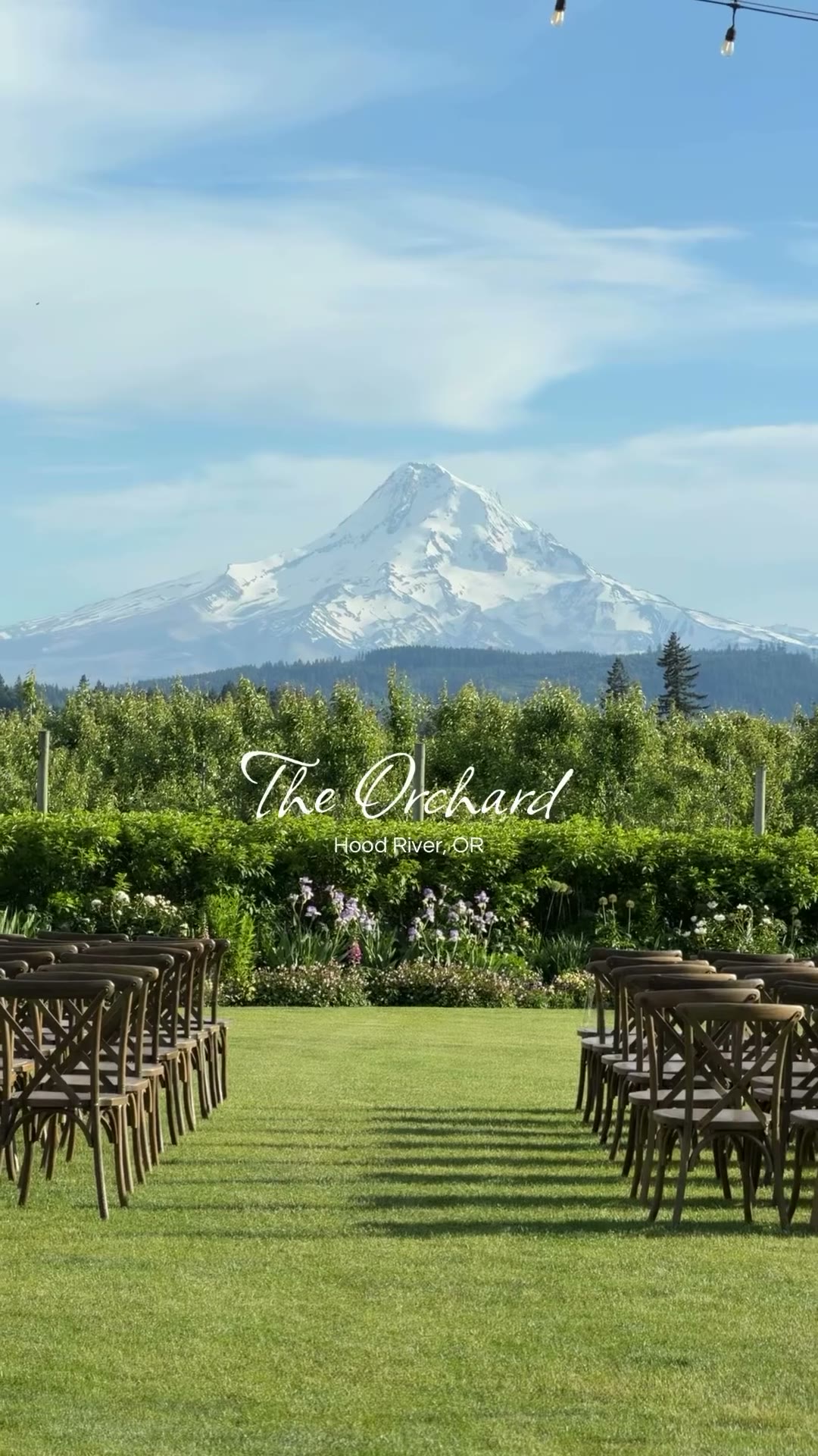The Orchard