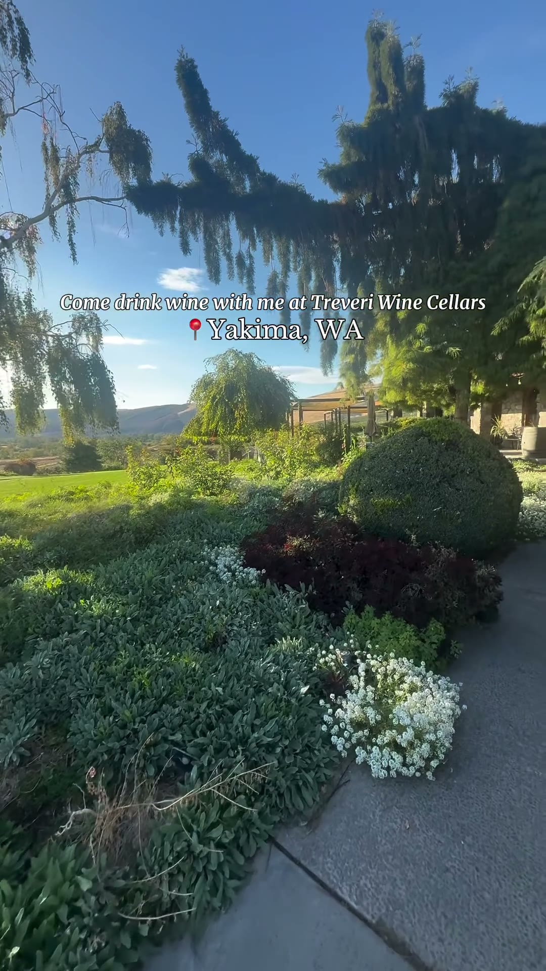 Treveri Cellars