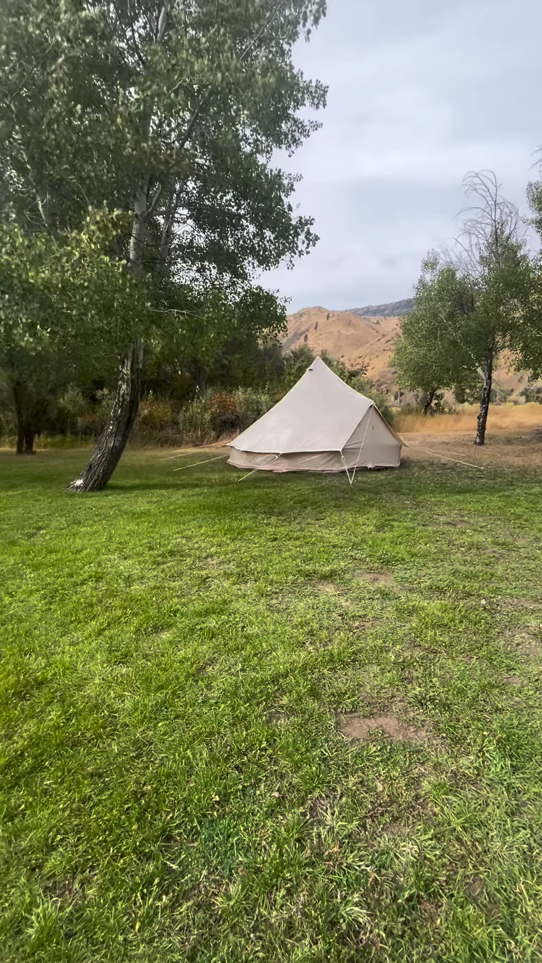 American Homestead — wedding venue in Naches
