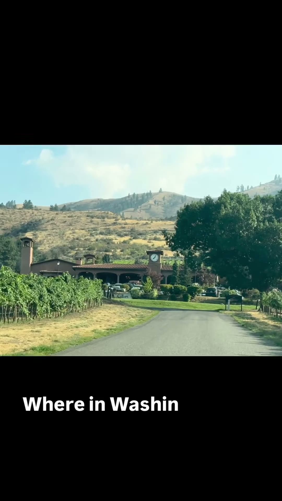 Tsillan Cellars — wedding venue in Chelan