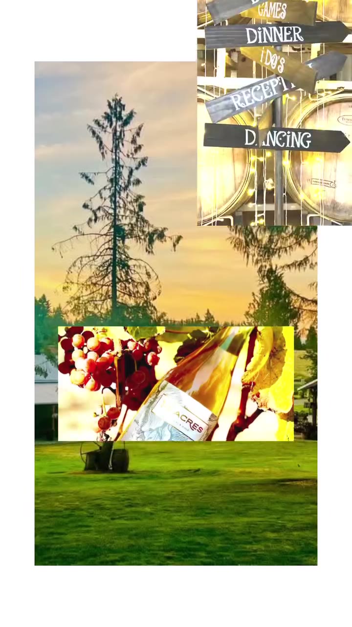 14 Acres Vineyard & Winery — wedding venue in Ridgefield