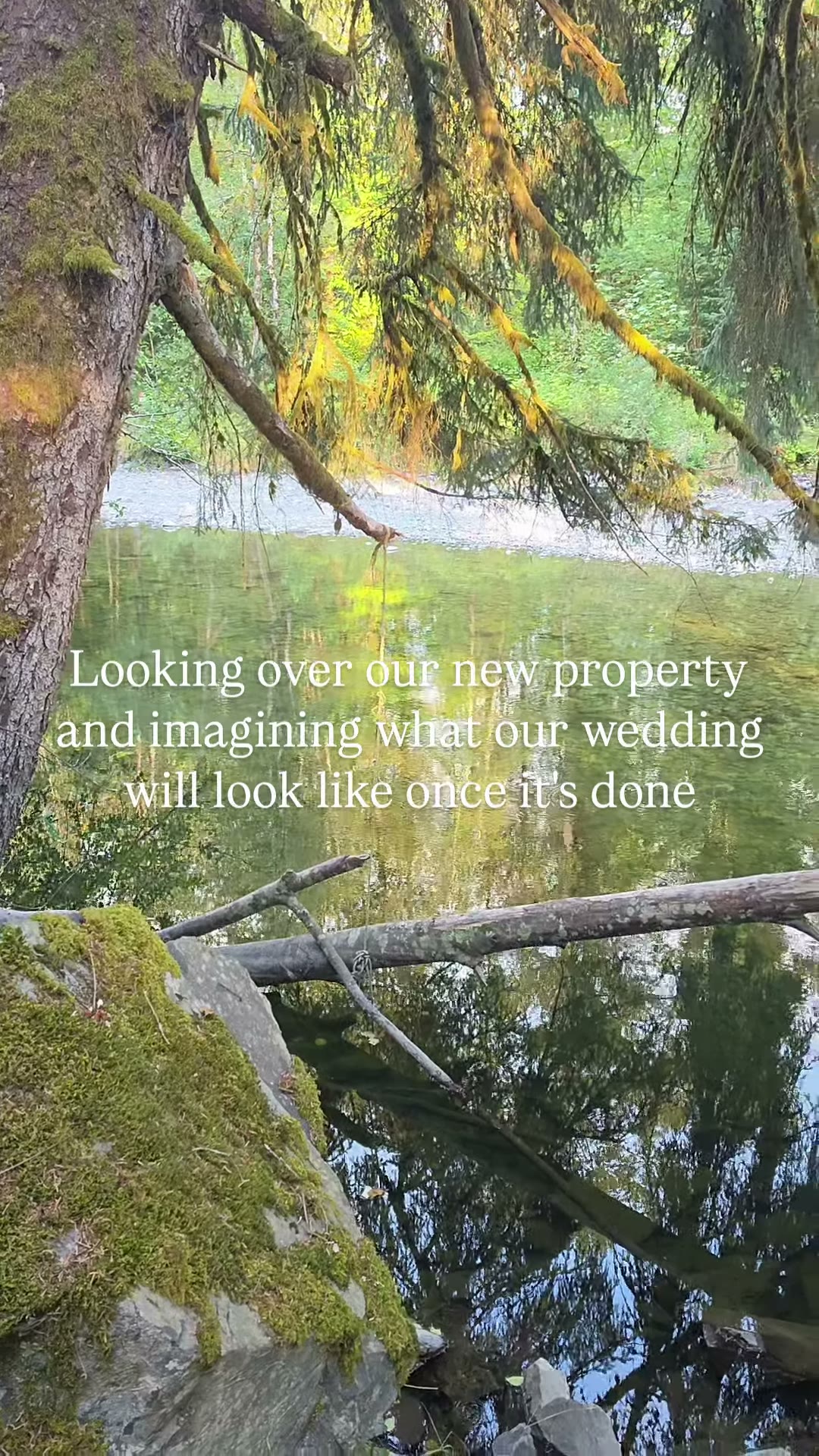 Beloved — wedding venue in Olympia